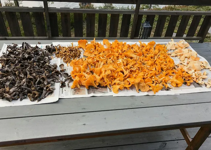 Have An Active By Ljostadtjernet Ferienhaus *